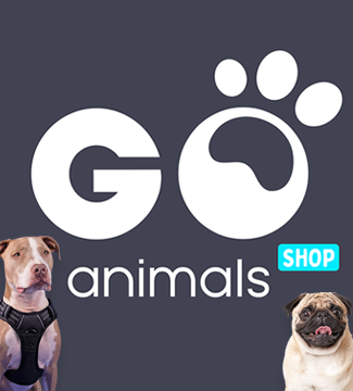 Goanimals Promo Codes