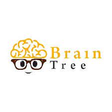 Brain Tree Games Puzzle Coupons