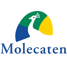 Molecaten Coupons