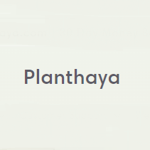 Planthaya Coupons